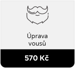 Brno úprava vousů 2023